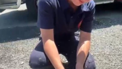 Yangında mahsur kalan kaplumbağaya itfaiyeden yardım eli