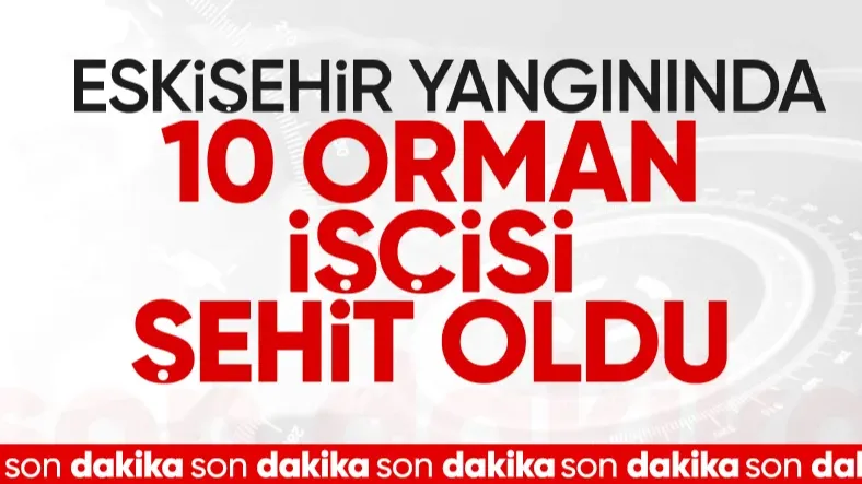 Alevler Yeşil Vatanı Sardı: 10 Orman Emekçisi Şehit Oldu