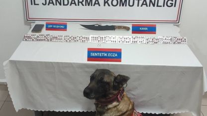Üzerinde 170 adet uyuşturucu hapla yakalandı