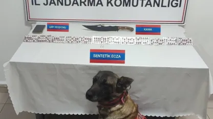 Üzerinde 170 adet uyuşturucu hapla yakalandı