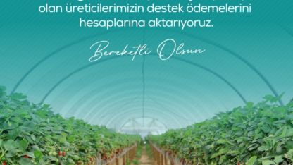 Zirai dondan etkilenen çiftçilere 13 milyar 221 milyon lira destek ödemesi yapılacak