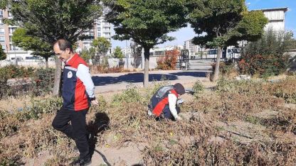 Karadeniz’in korkulu rüyası Sivas’ta görüldü