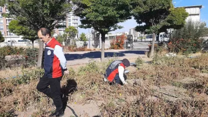 Karadeniz’in korkulu rüyası Sivas’ta görüldü