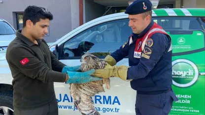 Kırıkkale’de yaralı puhu kuşu tedaviyle yaşama döndü