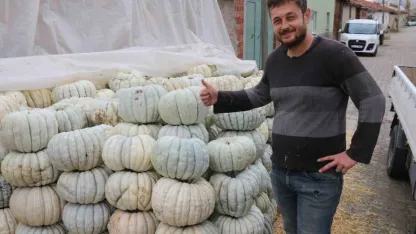 Ata tohumu ile üretilen Eskişehir’in meşhur kabağının hasadı başladı