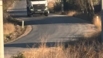 Tekören yolunda uzayan ağaç dalları sürücülere zorluk yaşatıyor