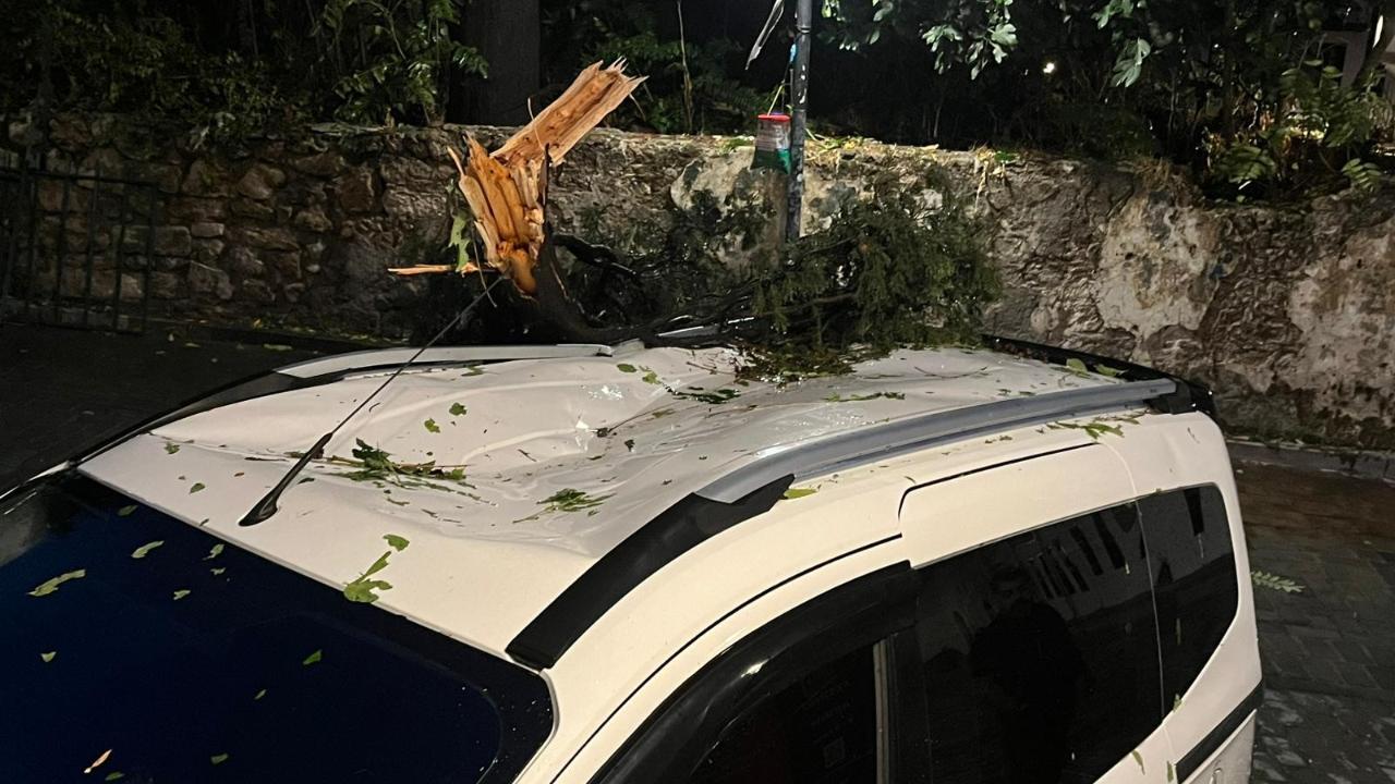 Antalya’da fırtına ağacı devirdi, park halindeki aracı ezdi