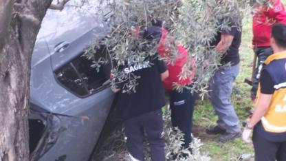 Otomobil Zeytinliğe Uçtu: 2 Yaralı