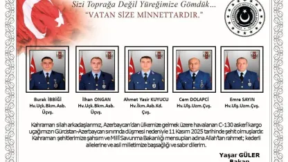 MSB 20 askerin şehit olduğunu açıkladı