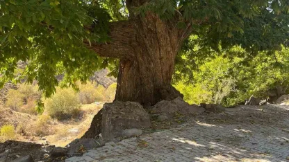 Doğadan ilham alan yarışma