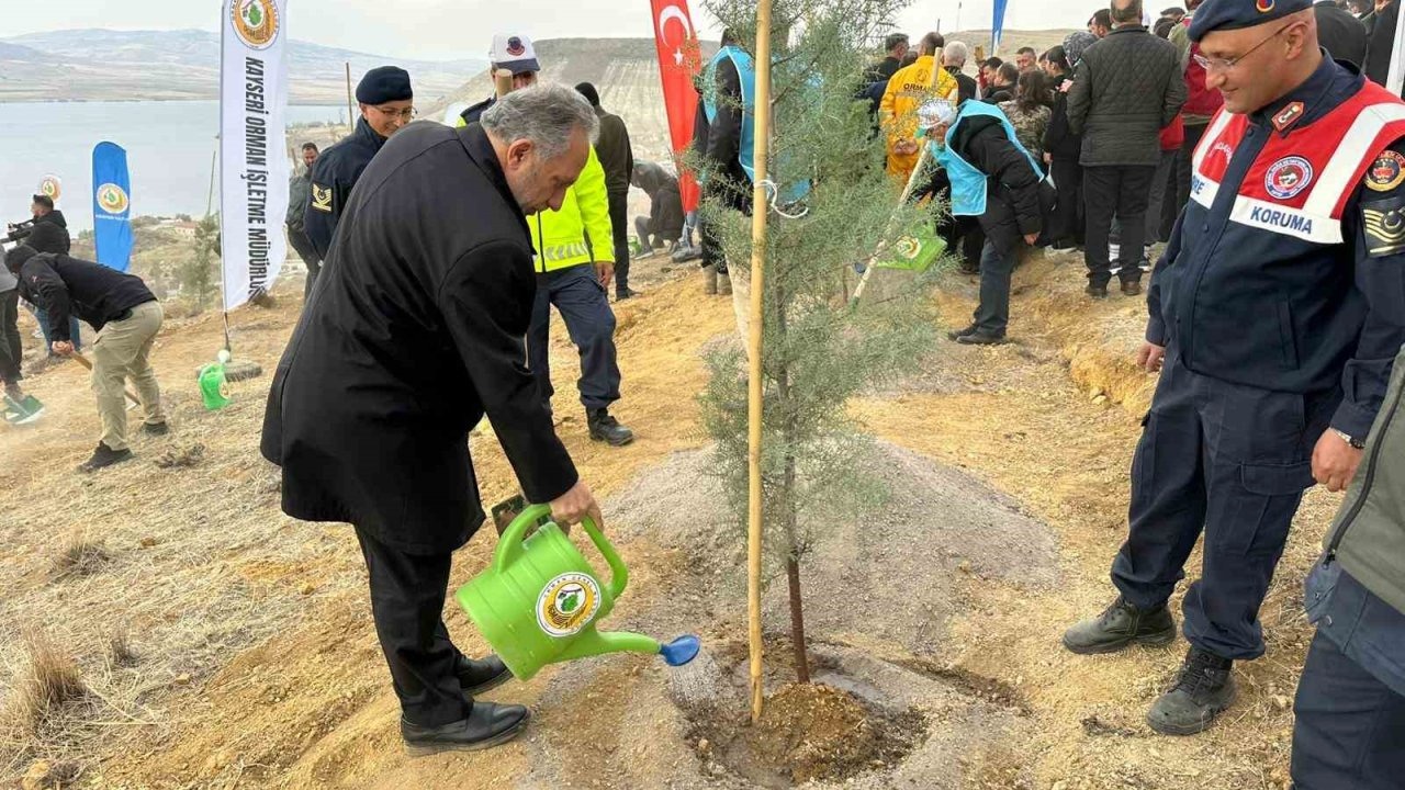 Ali Dağı’nın zirvesine 1111 fidan