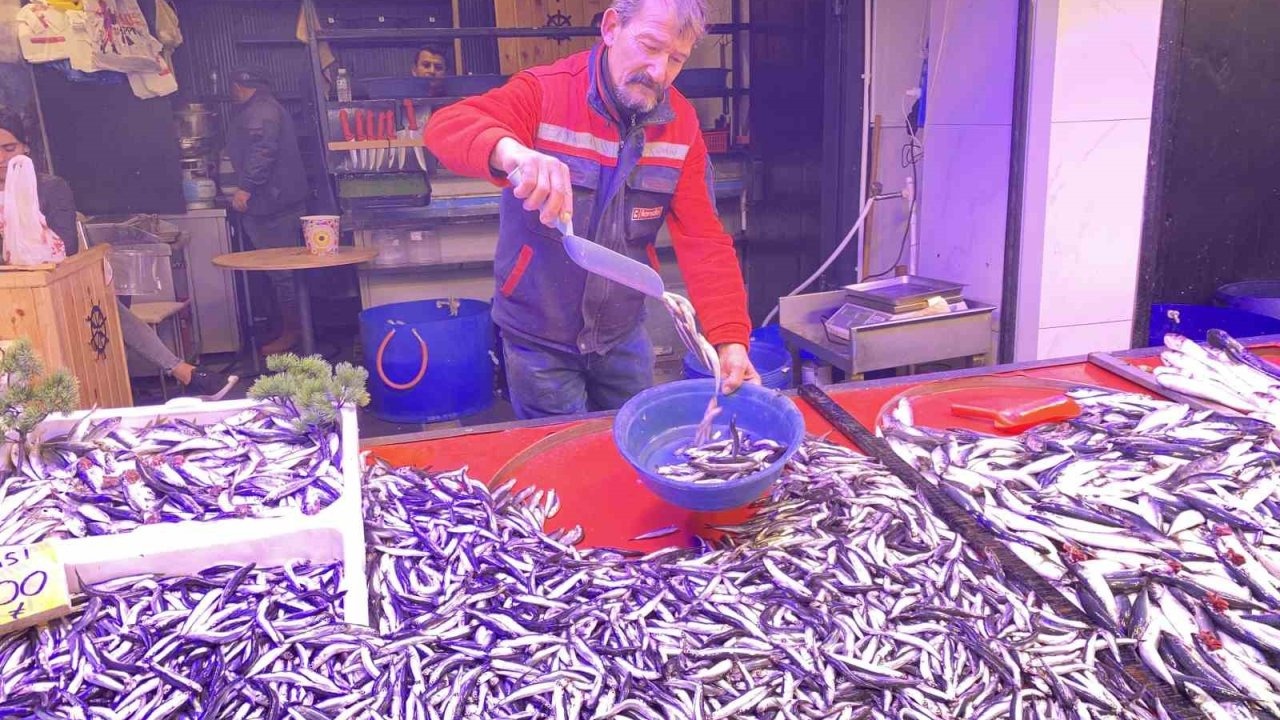 Denizlerde bollaşan hamsi tezgahlarda 100 TL’ye yer buldu