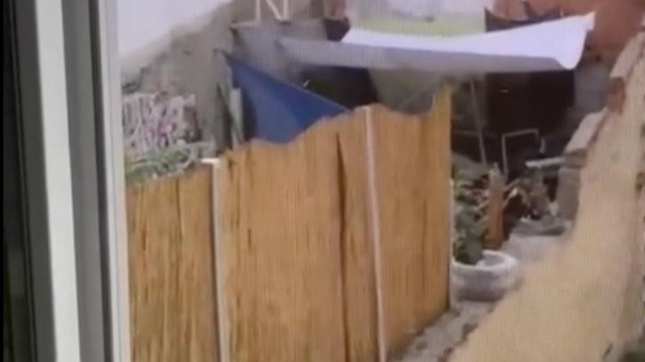 Eskişehir’de köpeğe eziyet eden şahıs yakalandı