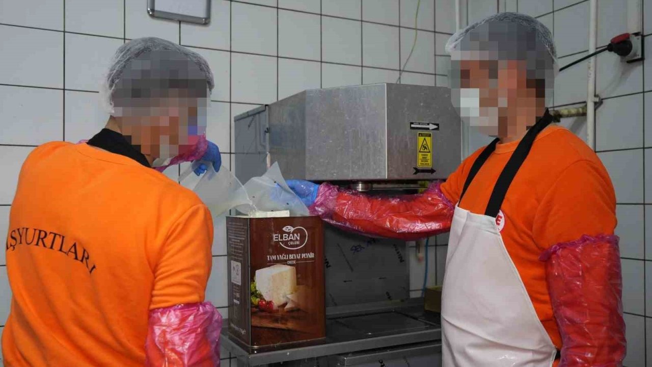 Hükümlüler hem meslek ediniyor hem üreterek ekonomiye katkı sağlıyor: Ayda 300 ton süt işleniyor