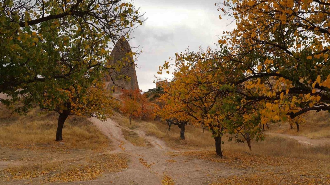 Kapadokya’daki renk cümbüşü dron ile görüntülendi