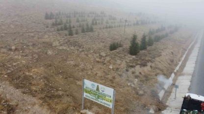 Yahyalı’ya bin 200 fidan dikildi