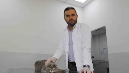 Ekmek kavgası bitti, kedi ve köpekler dost oldu