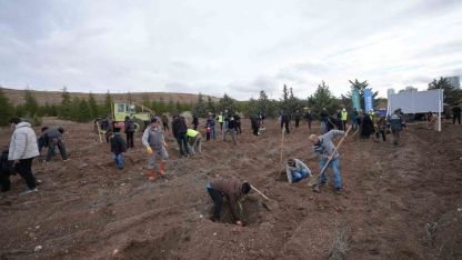 TUSAŞ şehitleri anısına binlerce fidan toprakla buluştu