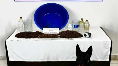 Çankırı’da uyuşturucu operasyonu: 1 gözaltı