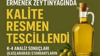 Ermenek Zeytinyağları K-4 Analizinde Uluslararası Standartların Üstünde Çıktı
