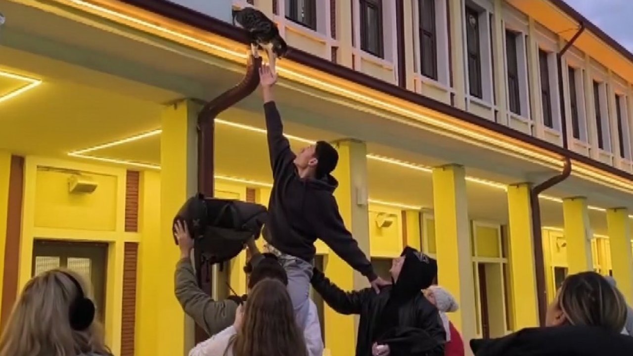 Gençlerin ’başarısız’ kedi kurtarma operasyonu kamerada