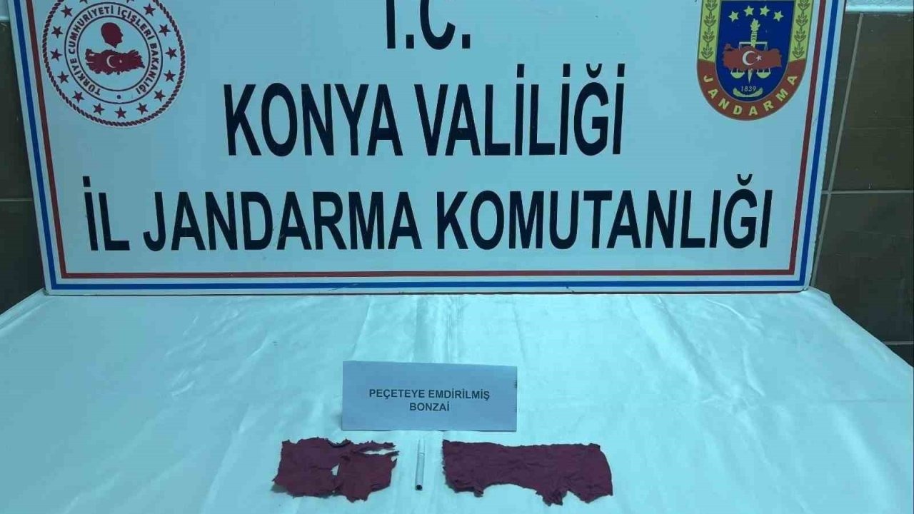 Konya’da jandarmadan uyuşturucu operasyonu