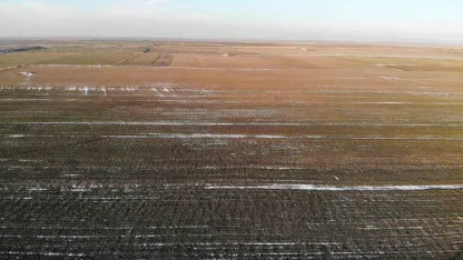 Konya Ovası’nda karsız sezon endişesi