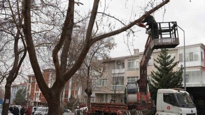 Keçiören Belediyesi, park ve yeşil alanlardaki bakım çalışmalarına devam ediyor