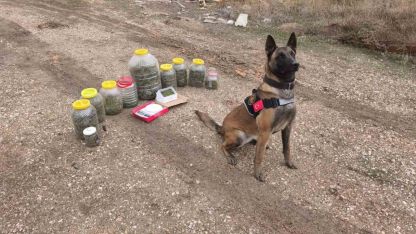 Karaman’da uyuşturucu operasyonu: 1 gözaltı