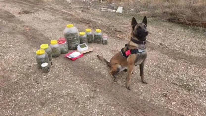 Karaman’da uyuşturucu operasyonu: 1 gözaltı