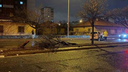 Kaza savrulan otomobil ağacı ikiye böldü: 4 yaralı