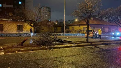 Kaza savrulan otomobil ağacı ikiye böldü: 4 yaralı