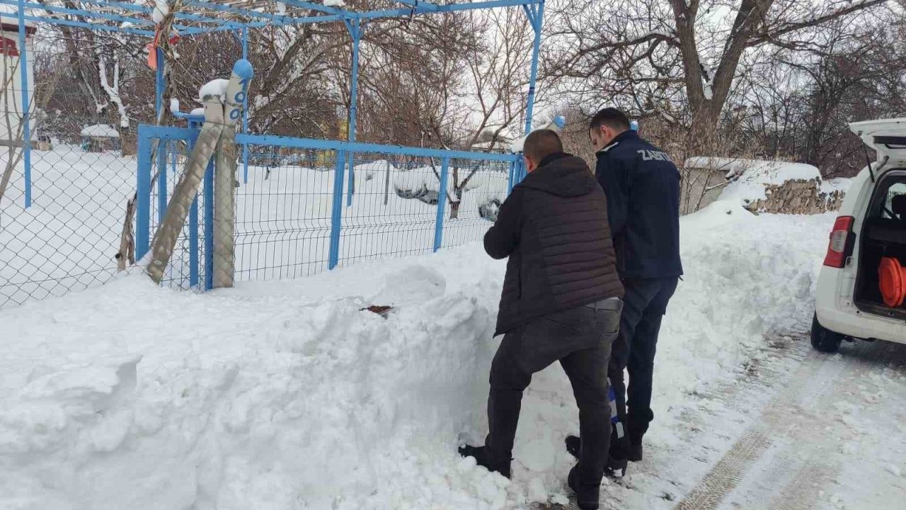 Bünyan’da sokak hayvanlarına mama desteği