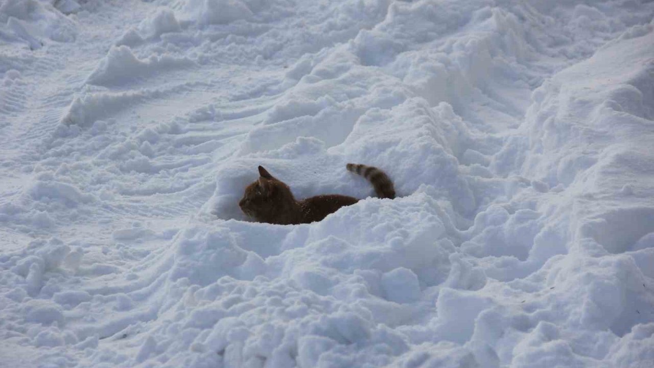 Eski kışlar geri geldi, Kızılırmak’ın yüzeyi kısmen dondu