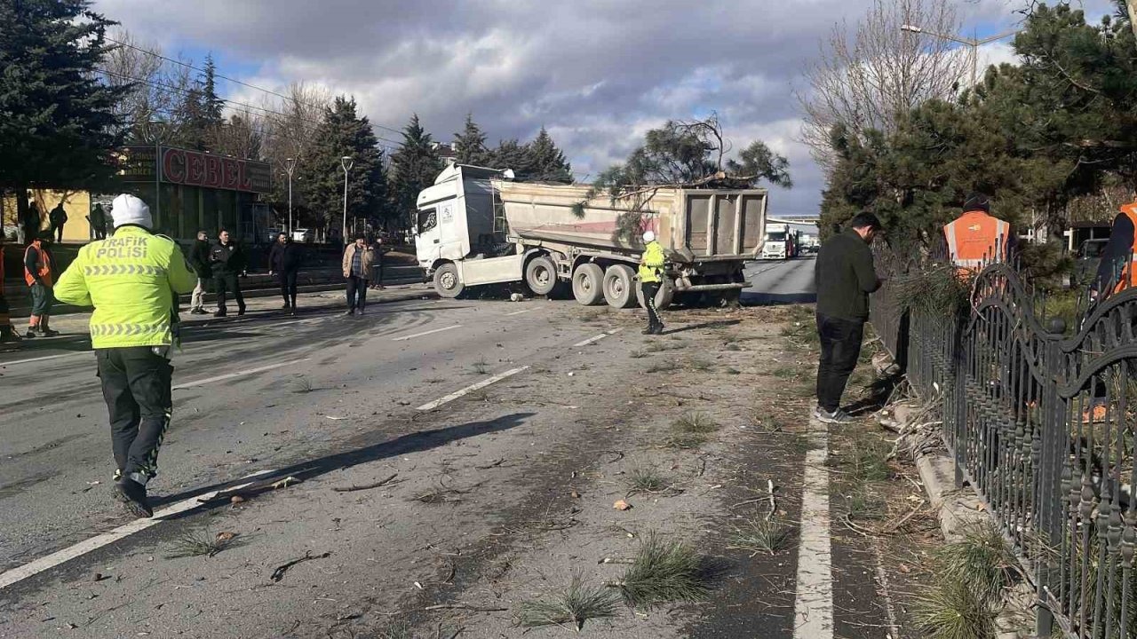 Görenleri pes dedirten kazada tır ağaçları ezip karşı şeritte durabildi