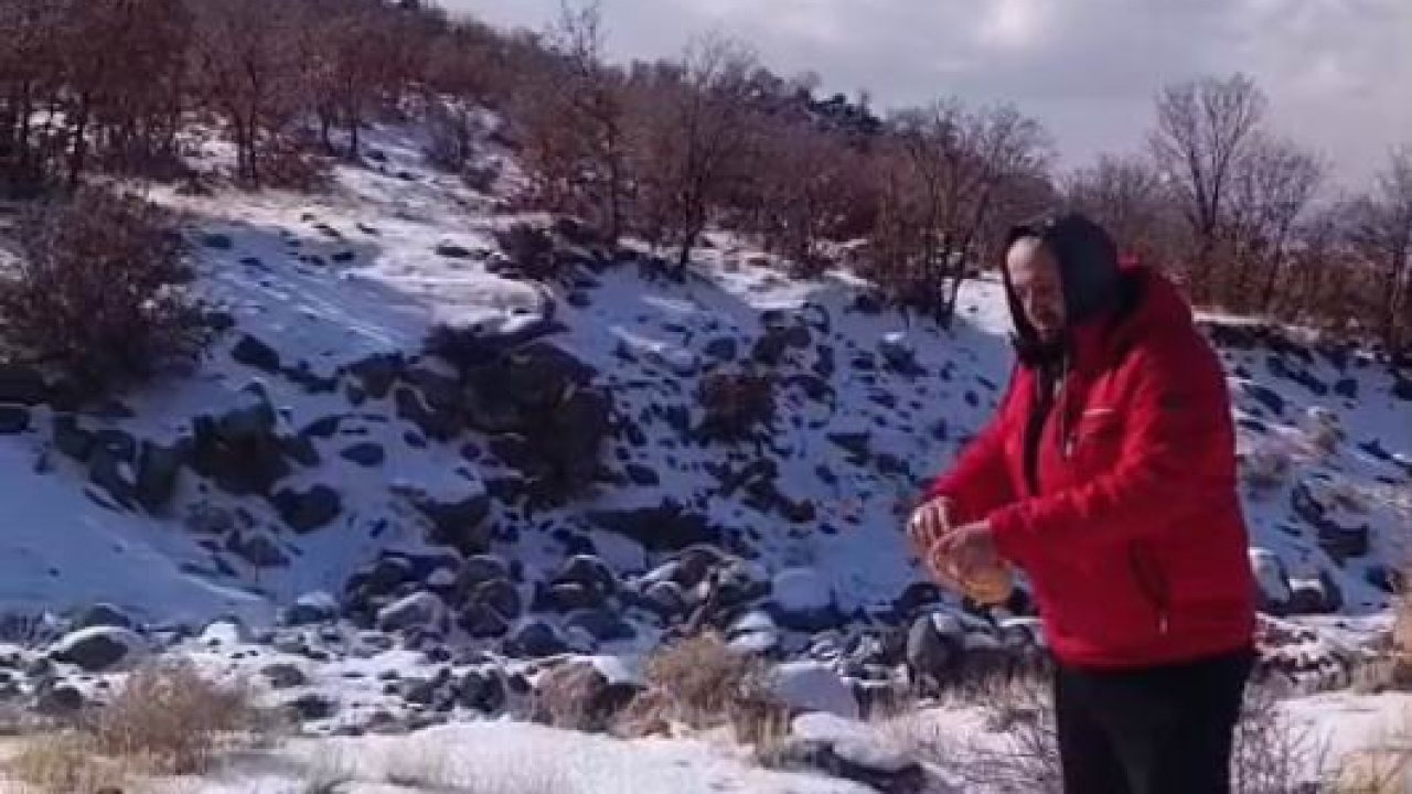 Kar yağışı Karacadağ’daki yaban hayatını zorladı