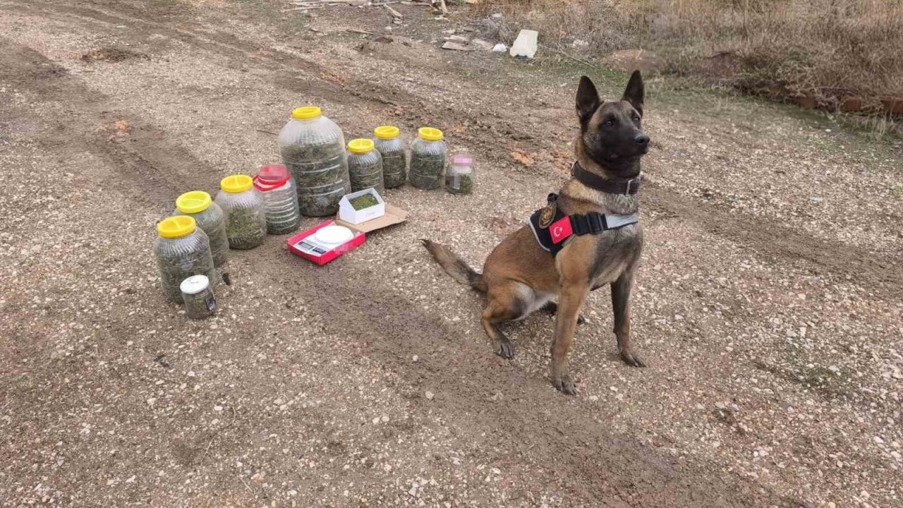 Karaman’da uyuşturucu operasyonu: 1 gözaltı