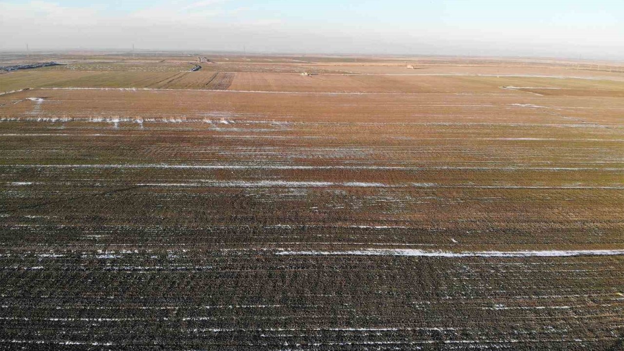 Konya Ovası’nda karsız sezon endişesi