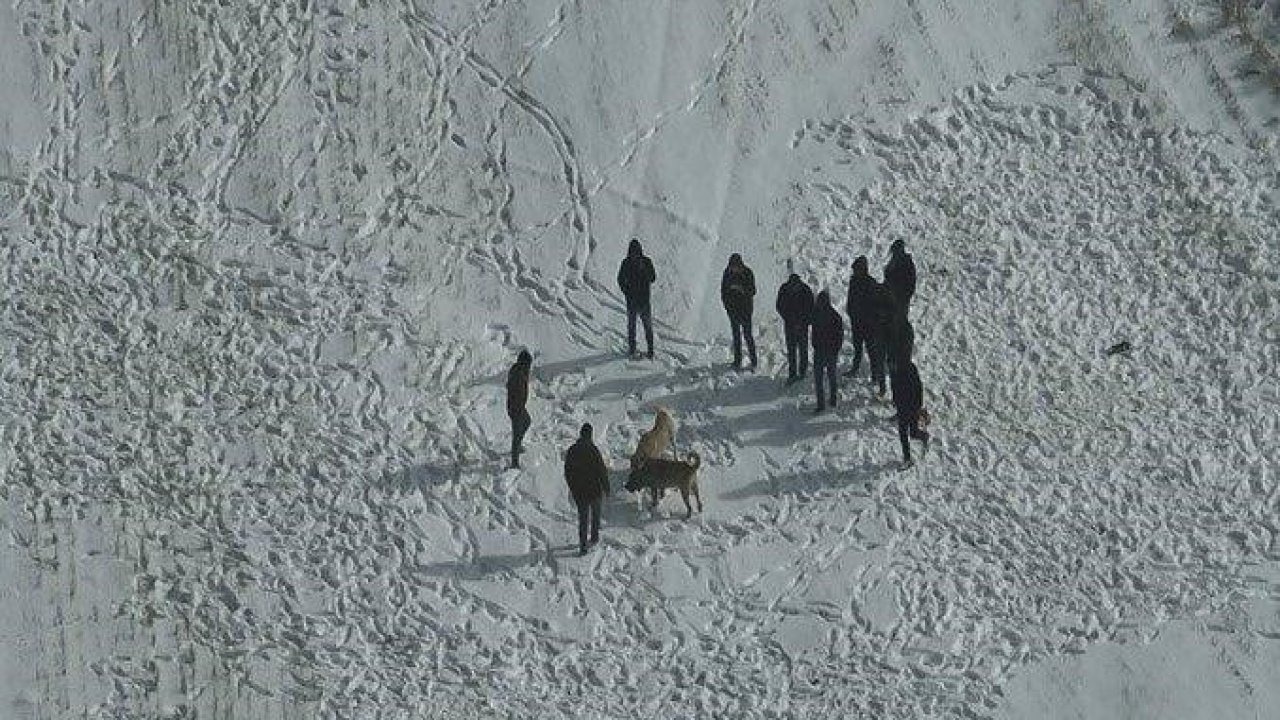 Nevşehir’de köpek dövüşüne jandarma baskını