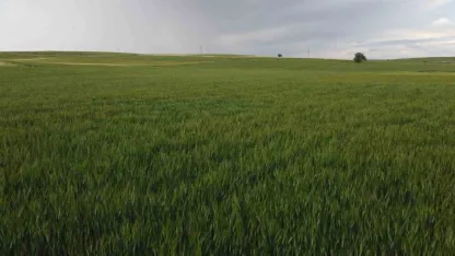 Konya’da yüksek kesimler yağışa doydu