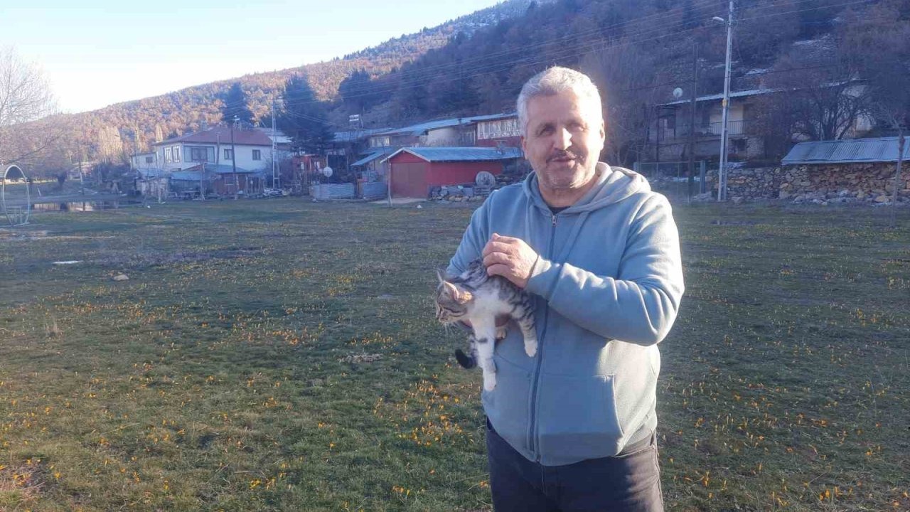 Konya’da aç kalan kediler için 30 kilometre yol gitti