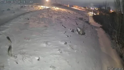 Niğde’de aç kalan kurtlar köye indi