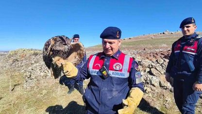 Yozgat’ta yaralı puhu kurtarıldı