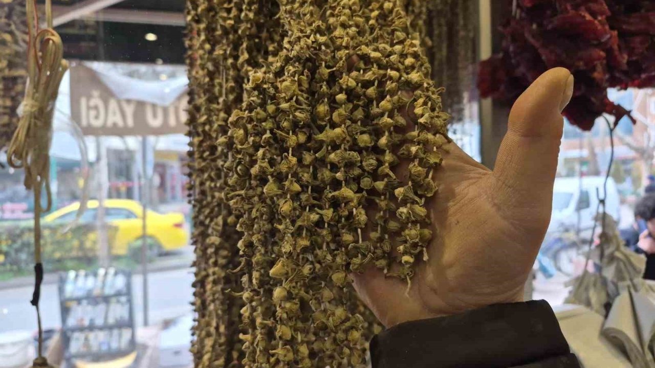 Fiyatıyla dikkat çeken kurutulmuş bamya 3 bin 500 TL’ye satılıyor