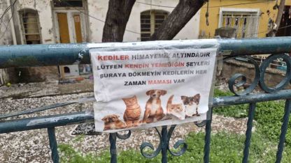 Hayvanseverlerin ilginç yazısı: "Kediler himayemiz altındadır"