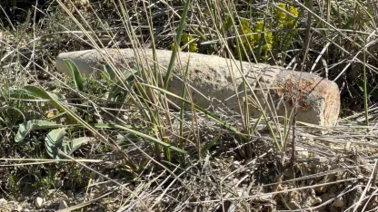 Ankara’da vatandaş mantar ararken patlamamış top mermisi buldu